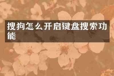 搜狗怎么开启键盘搜索功能