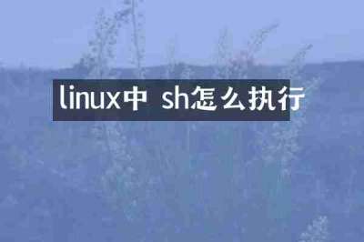 linux中 sh怎么执行