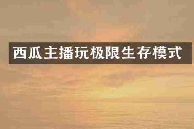西瓜主播玩极限生存模式