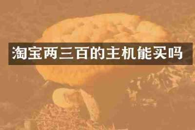 淘宝两三百的主机能买吗