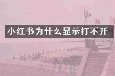 小红书为什么显示打不开