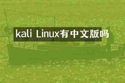 kali Linux有中文版吗