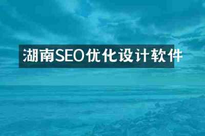 湖南SEO优化设计软件