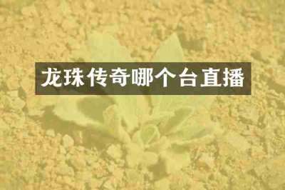 龙珠传奇哪个台直播