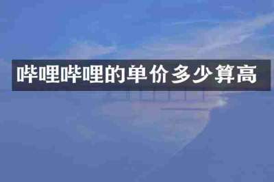 哔哩哔哩的单价多少算高