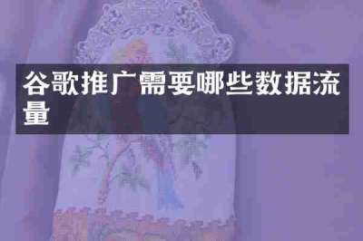 谷歌推广需要哪些数据流量