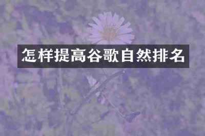 怎样提高谷歌自然排名