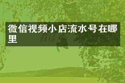 微信视频小店流水号在哪里