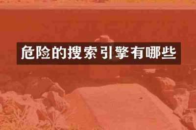 危险的搜索引擎有哪些