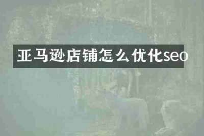 亚马逊店铺怎么优化seo