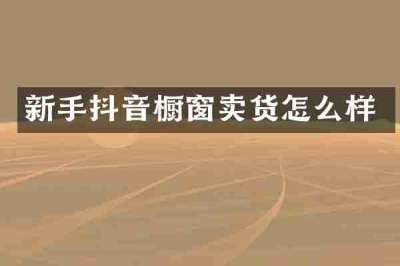 新手抖音橱窗卖货怎么样