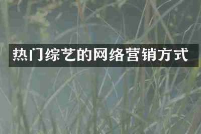 热门综艺的网络营销方式