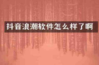 抖音浪潮软件怎么样了啊
