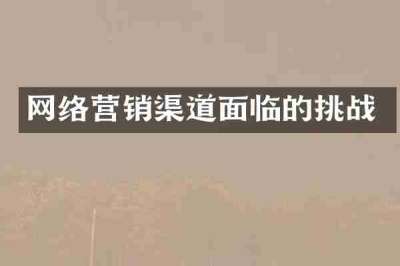 网络营销渠道面临的挑战