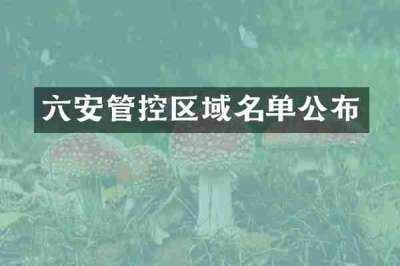 六安管控区域名单公布