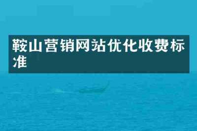 鞍山营销网站优化收费标准