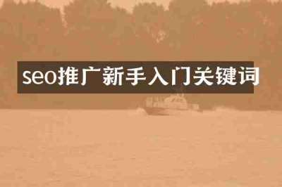 seo推广新手入门关键词