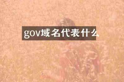 gov域名代表什么