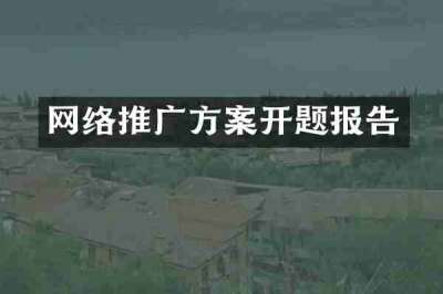 网络推广方案开题报告