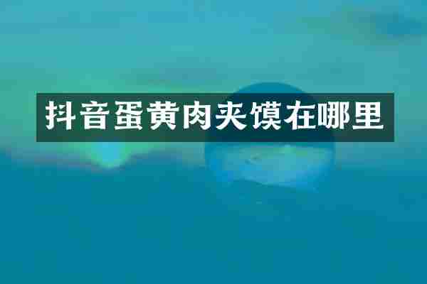 抖音蛋黄肉夹馍在哪里