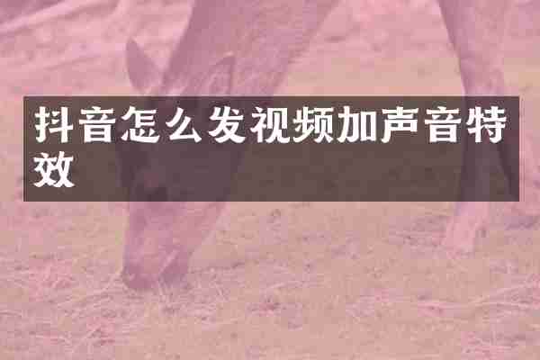 抖音怎么发视频加声音特效