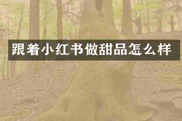 跟着小红书做甜品怎么样