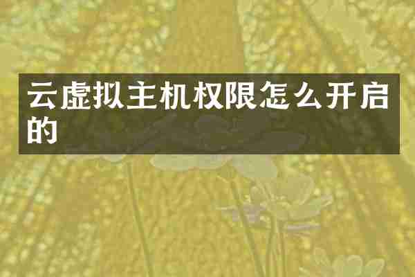 云虚拟主机权限怎么开启的