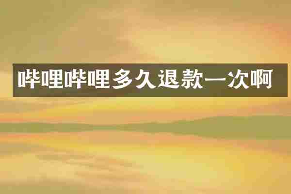 哔哩哔哩多久退款一次啊