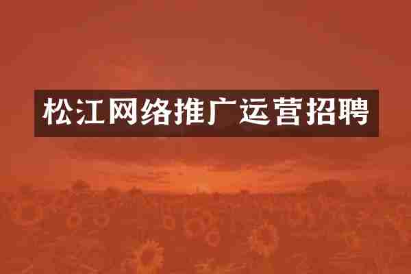 松江网络推广运营招聘