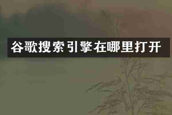 谷歌搜索引擎在哪里打开