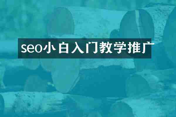 seo小白入门教学推广