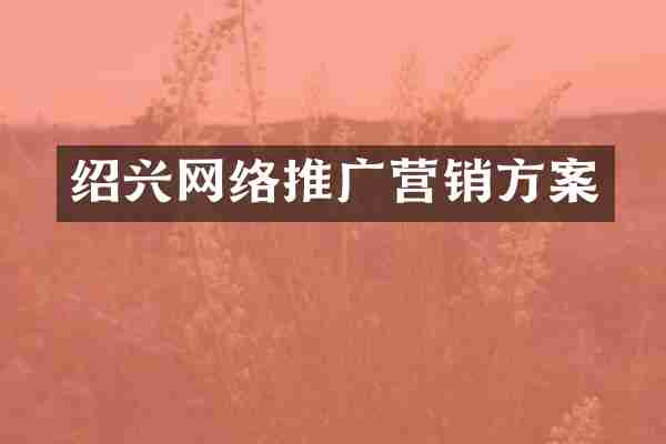 绍兴网络推广营销方案