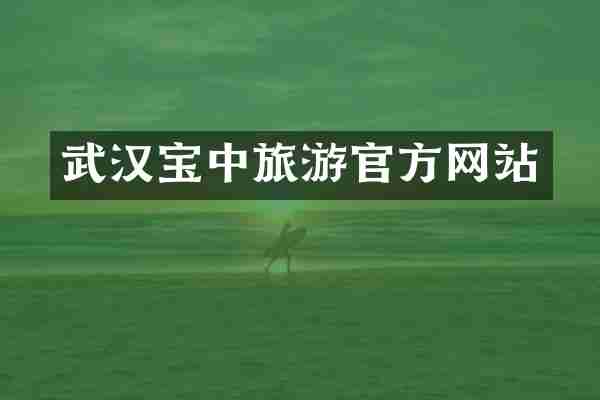 武汉宝中旅游官方网站