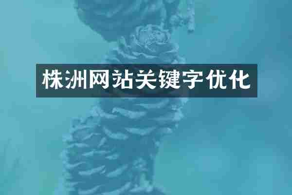 株洲网站关键字优化