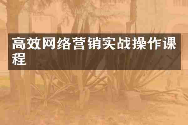 高效网络营销实战操作课程