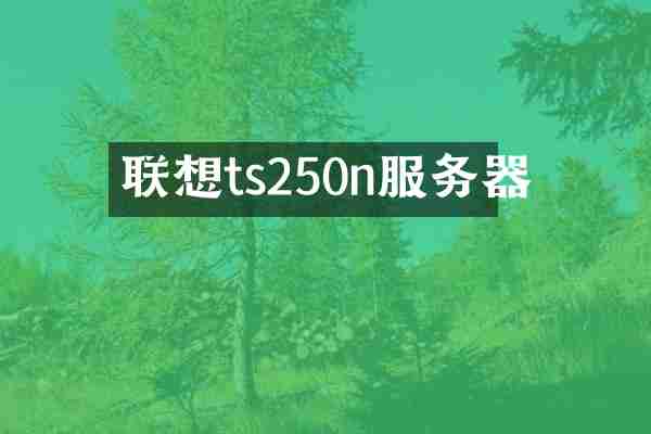 联想ts250n服务器