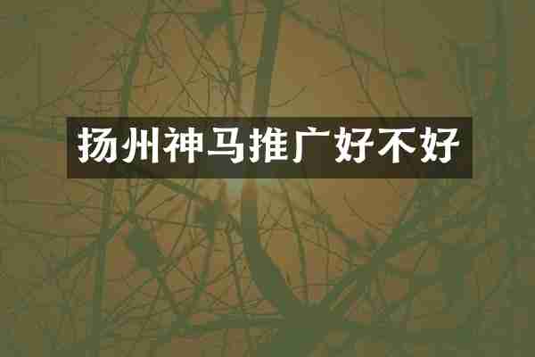扬州神马推广好不好