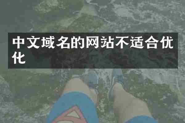中文域名的网站不适合优化