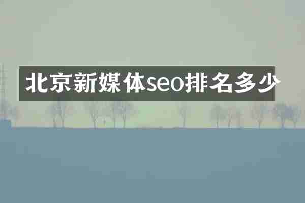 北京新媒体seo排名多少
