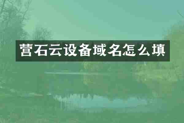营石云设备域名怎么填