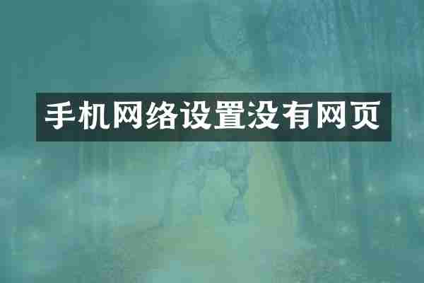 手机网络设置没有网页