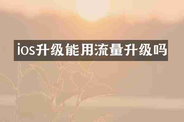 ios升级能用流量升级吗