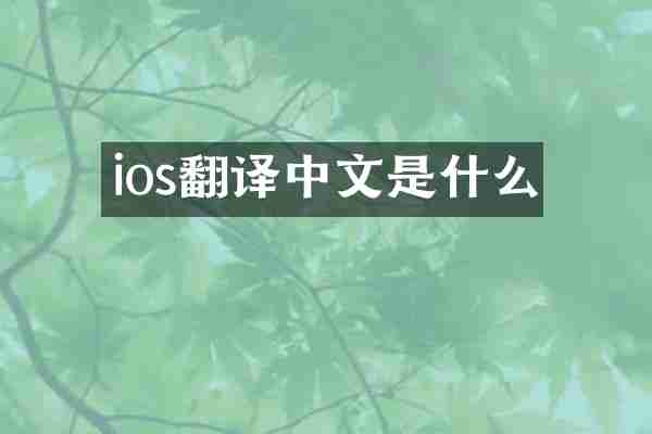 ios翻译中文是什么