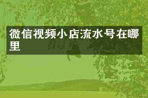 微信视频小店流水号在哪里