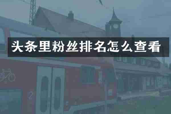 头条里粉丝排名怎么查看