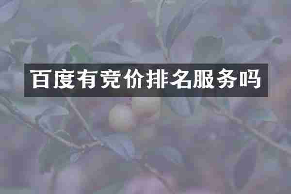 百度有竞价排名服务吗
