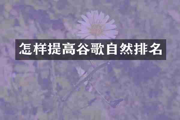 怎样提高谷歌自然排名