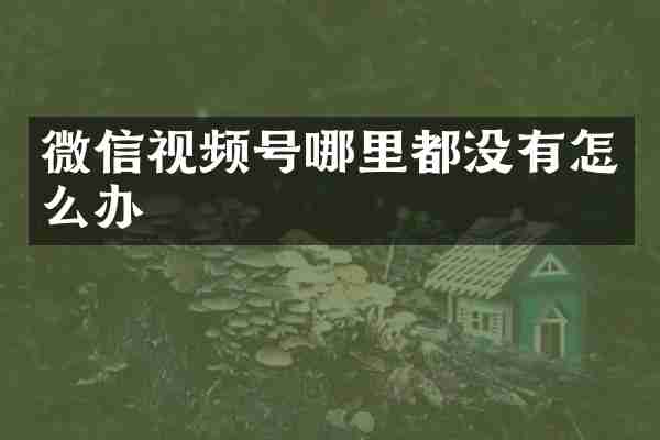微信视频号哪里都没有怎么办