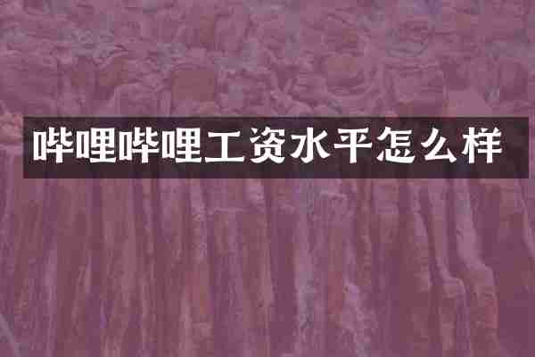 哔哩哔哩工资水平怎么样