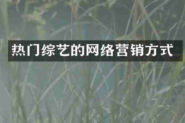 热门综艺的网络营销方式